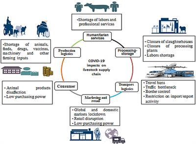 Animal Welfare and Livestock Supply Chain Sustainability Under the COVID-19 Outbreak: An Overview